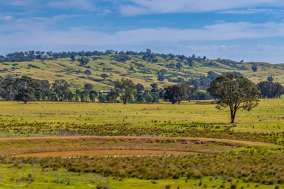 Clouds over the gum trees and green pastures and hills in the Ri