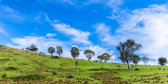 Riverina Countryside in Spring – Lush Fields Under Clouded Ski