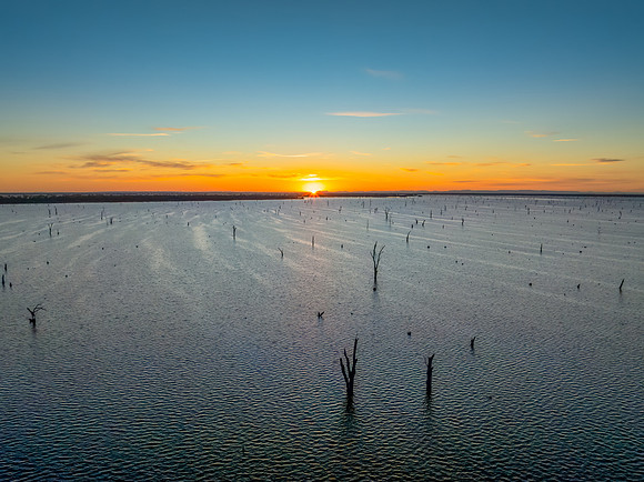 Sunrise over Lake Mulwala and the dead River Gum trees