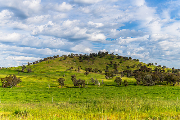 Riverina Countryside in Spring – Green Hills Under Clouded Ski