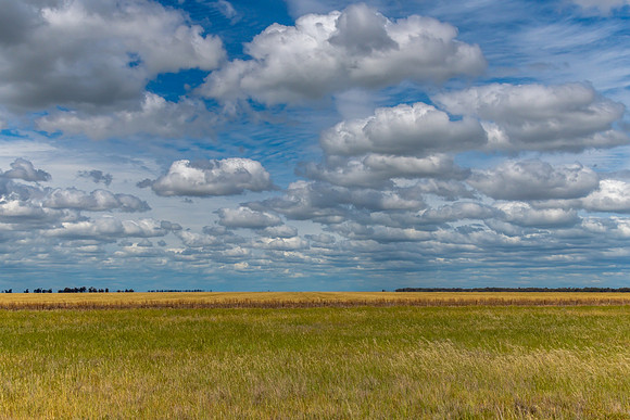 Clouds over the golden pastures in the Riverina countryside