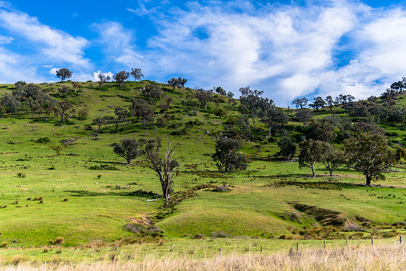 Riverina Countryside in Spring – Green Hills Under Clouded Ski