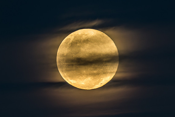 November's 'Beaver' Full Moon Supermoon Rising in the Twilight E