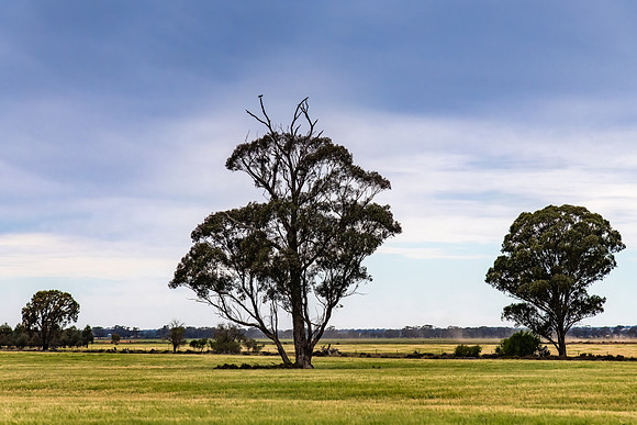 The Riverina Country Landscape Under Clouded Skies