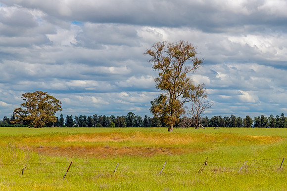 Clouds over the green pastures in the Riverina countryside