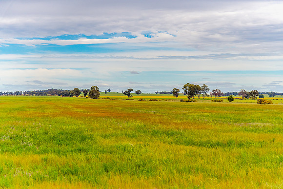 Clouds over the green pastures in the Riverina countryside