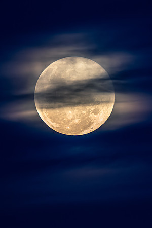 November's 'Beaver' Full Moon Supermoon Rising in the Twilight E