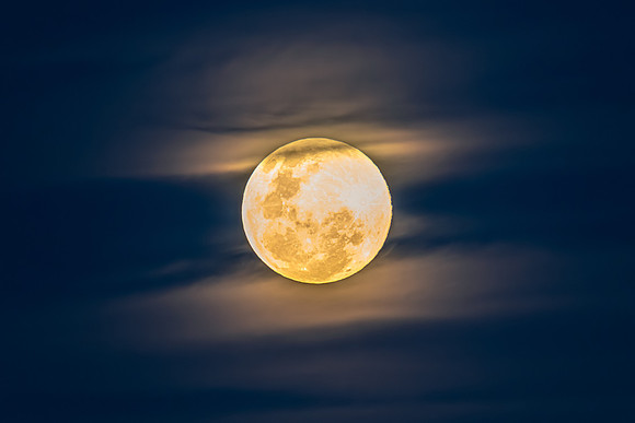 November's 'Beaver' Full Moon Supermoon Rising in the Twilight E