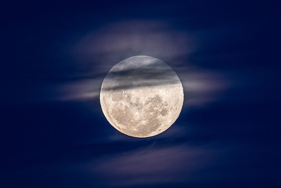 November's 'Beaver' Full Moon Supermoon Rising in the Twilight E