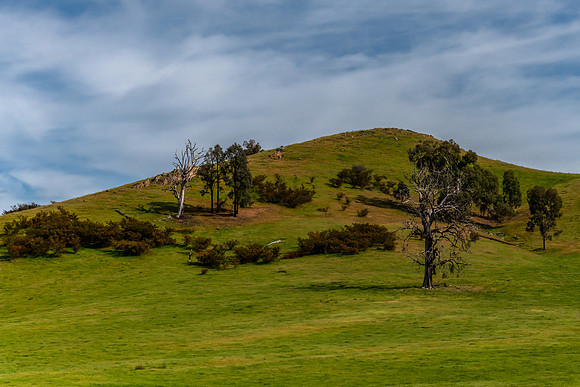 Riverina Countryside in Spring Under Clouded Skies