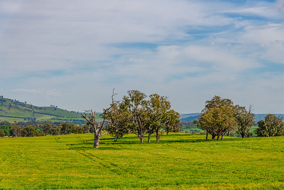Riverina Countryside in Spring Under Clouded Skies