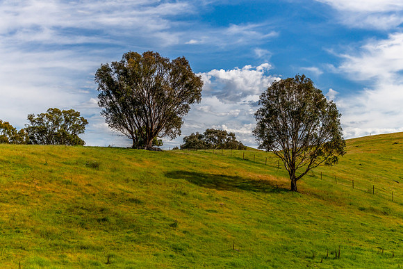 Riverina Countryside in Spring with Rolling Hills and Clouds