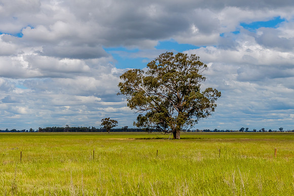 Clouds over the green pastures in the Riverina countryside