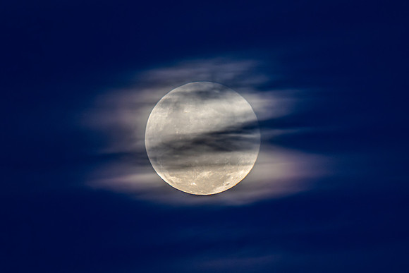 November's 'Beaver' Full Moon Supermoon Rising in the Twilight E