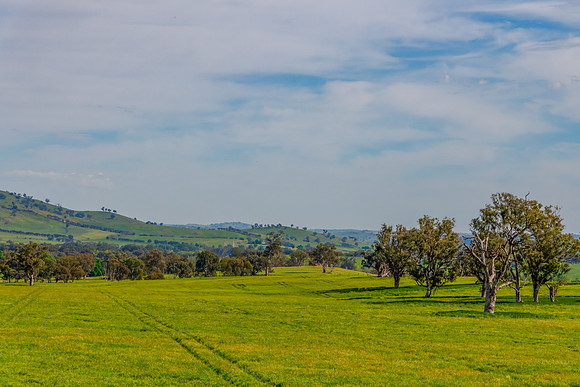 Riverina Countryside in Spring – Lush Fields Under Clouded Ski