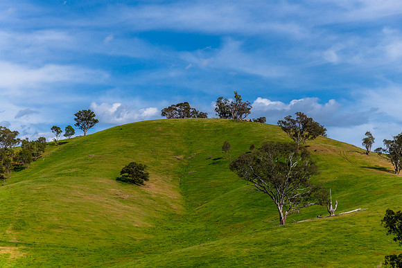 Riverina Countryside in Spring – Green Hill and Gum Trees Unde
