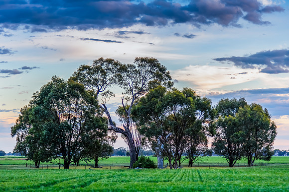 Riverina Countryside in Spring – Lush Fields Under Clouded Ski