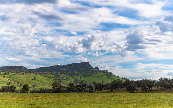 Rolling hills and gum trees in the Riverina Countryside