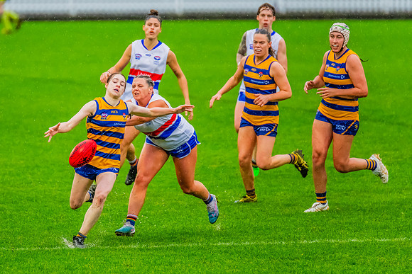 Rd 8 WPD - UNSW-ES v Sydney Uni - 1 June 2024