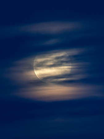November's 'Beaver' Full Moon Supermoon Rising in the Twilight E