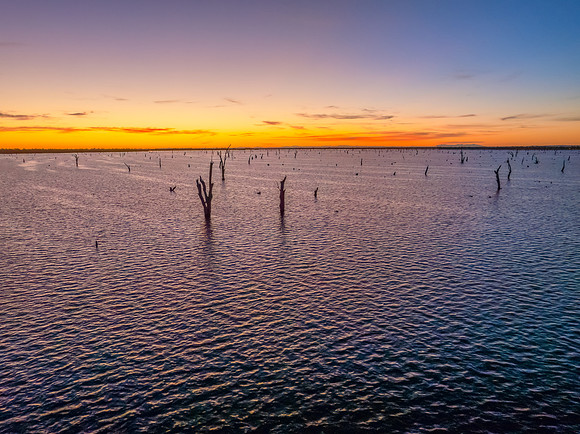 Sunrise over Lake Mulwala and the dead River Gum trees