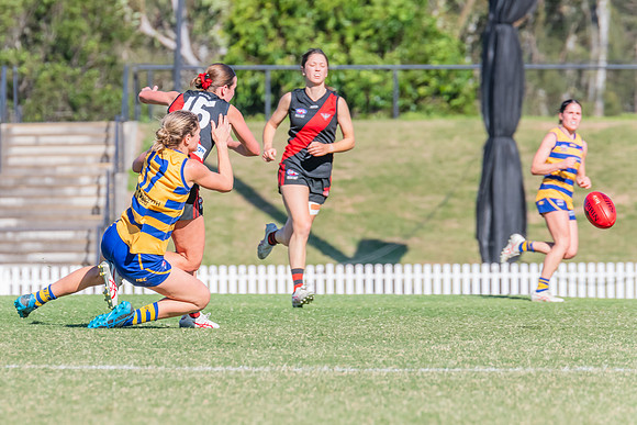 WPD Elimination Final - North Shore v Sydney Uni - 1 September 2
