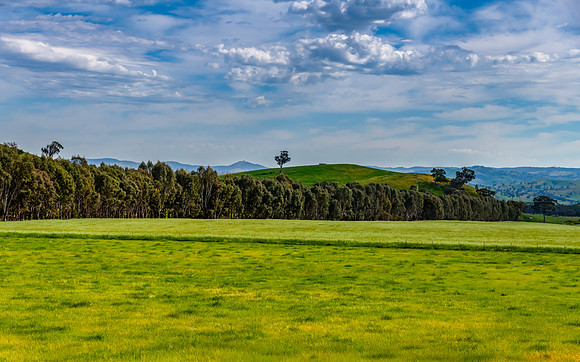 Riverina Countryside in Spring – Lush Fields Under Clouded Ski