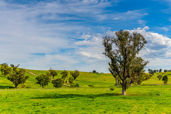 Riverina Countryside in Spring – Rolling Hills Under Clouded S