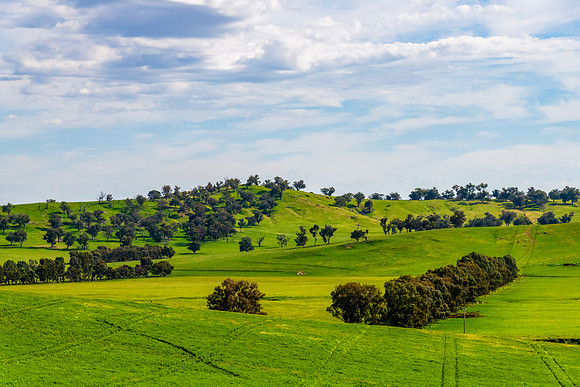 Riverina Countryside in Spring – Lush Fields Under Clouded Ski