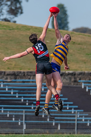 MPD Reserves Major Semi Final - Sydney University v North Shore