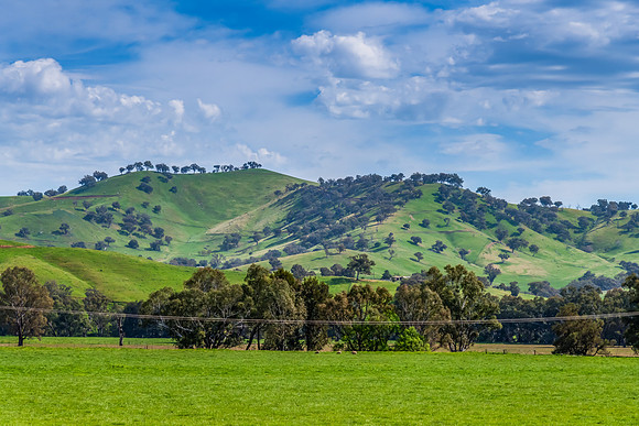 Hills, Gum Trees and Green Fields Under Clouded Skies