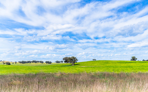 Riverina Countryside in Spring – Lush Fields Under Clouded Ski