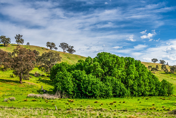 Riverina Countryside in Spring – Lush Fields Under Clouded Ski