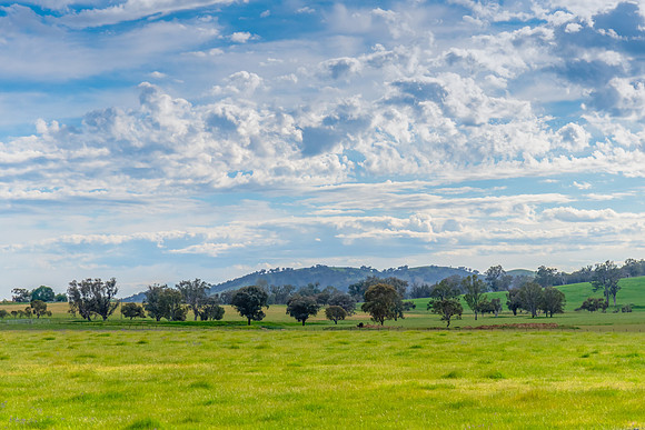 Riverina Countryside in Spring – Lush Fields Under Clouded Ski