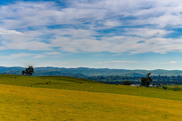 Riverina Countryside in Spring – Lush Fields Under Clouded Ski