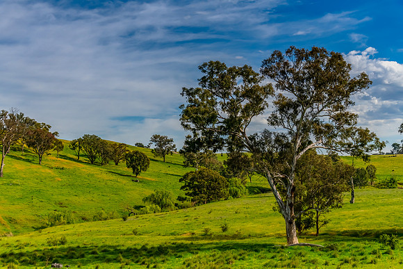 Riverina Countryside in Spring – Rolling Hills Under Clouded S