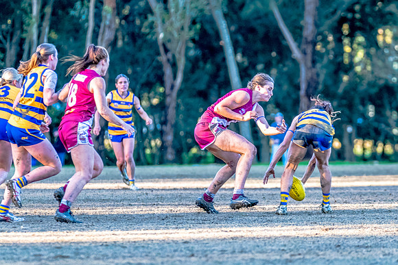 Rd 17 WPD - Manly Warringah v Sydney Uni - 16 August 2025