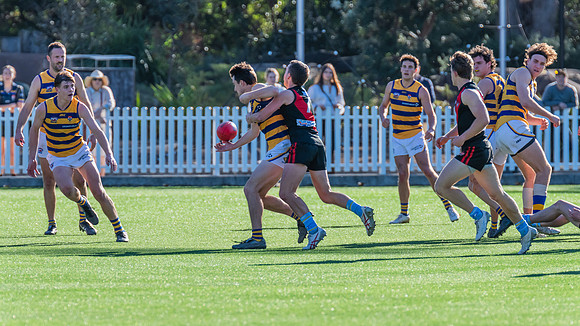 Rd 15 MPD - North Shore v Sydney Uni - 3 August 2024