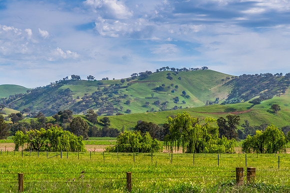 Hills, Gum Trees and Green Fields Under Clouded Skies