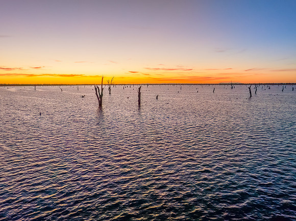 Sunrise over Lake Mulwala and the dead River Gum trees