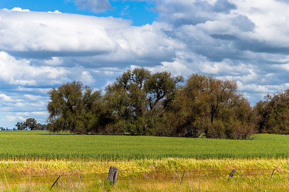 Clouds over the green pastures in the Riverina countryside