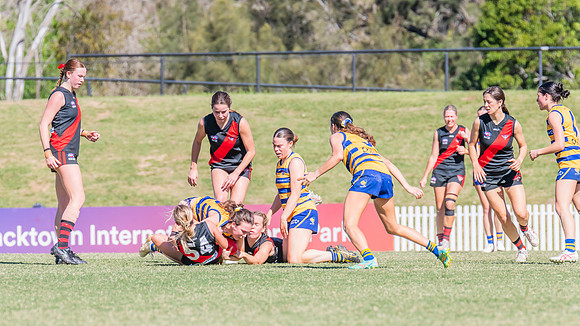 WPD Elimination Final - North Shore v Sydney Uni - 1 September 2