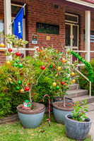 2025 Blayney Twilight Shopping