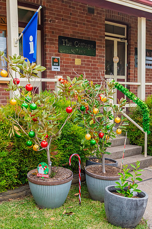2025 Blayney Twilight Shopping
