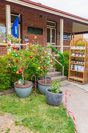 2025 Blayney Twilight Shopping