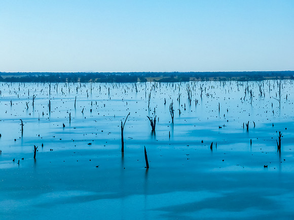 Clear Skies over Lake Mulwala and the dead River Gum trees
