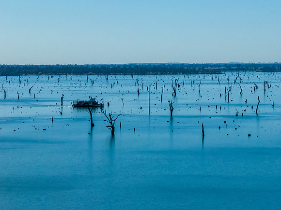 Clear Skies over Lake Mulwala and the dead River Gum trees