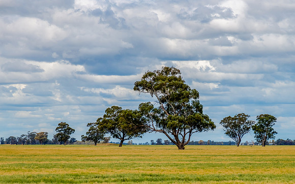 Clouds over the green pastures in the Riverina countryside