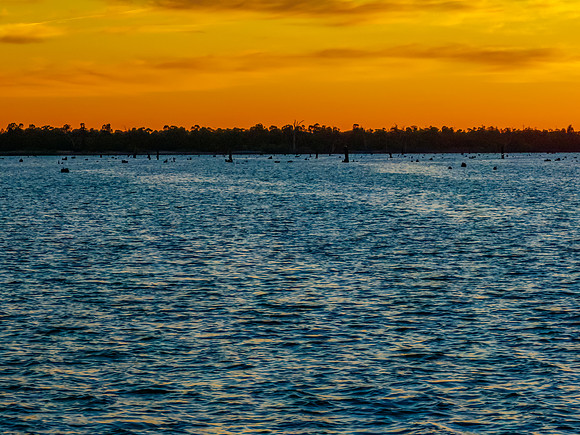 Sunrise over Lake Mulwala and the dead River Gum trees