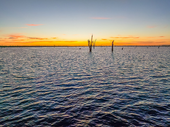Sunrise over Lake Mulwala and the dead River Gum trees